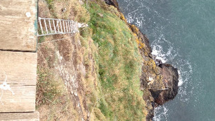 GOBBINS VISITOR CENTRE & CLIFF WALK